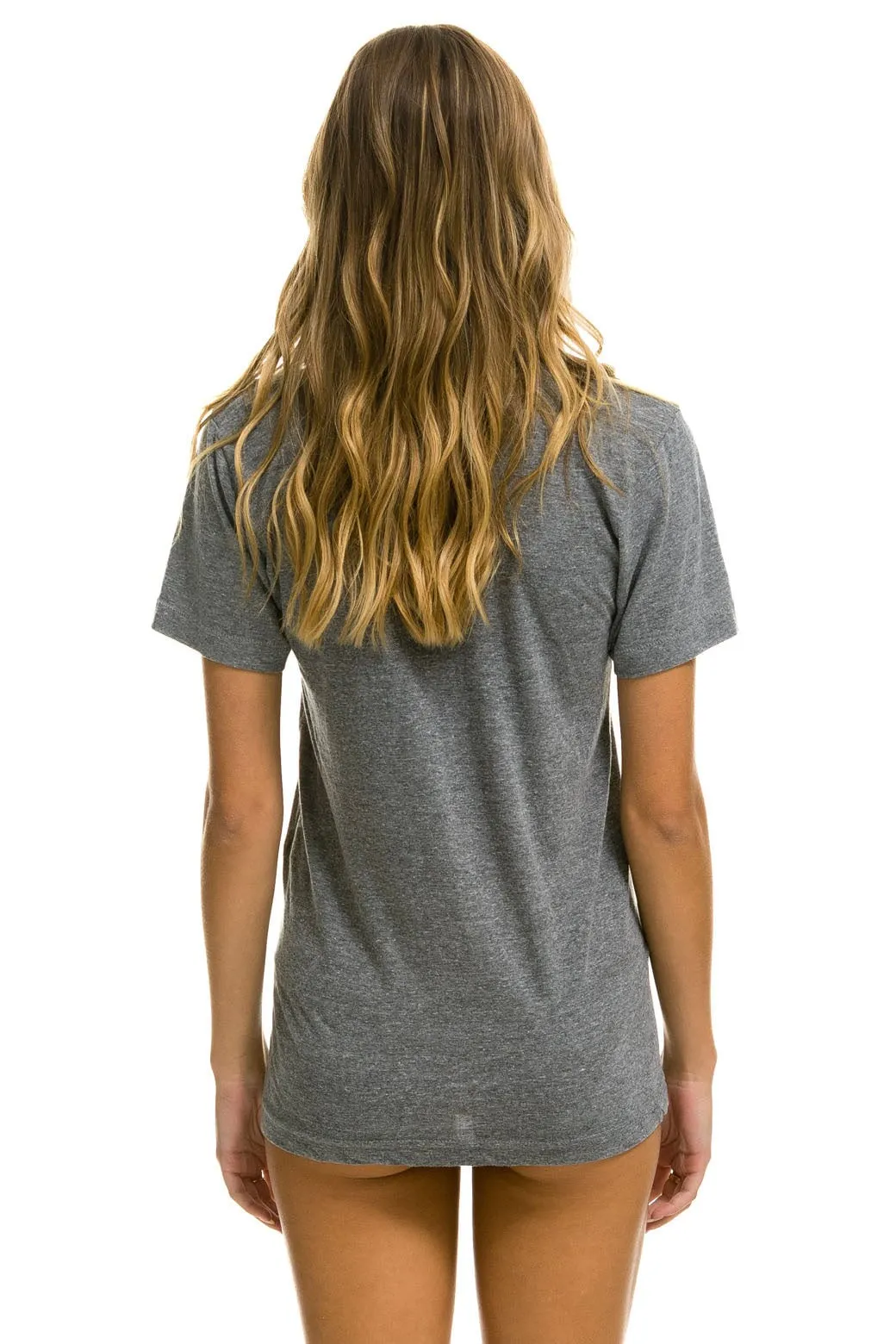AVIATOR NATION MILL VALLEY TEE - HEATHER GREY