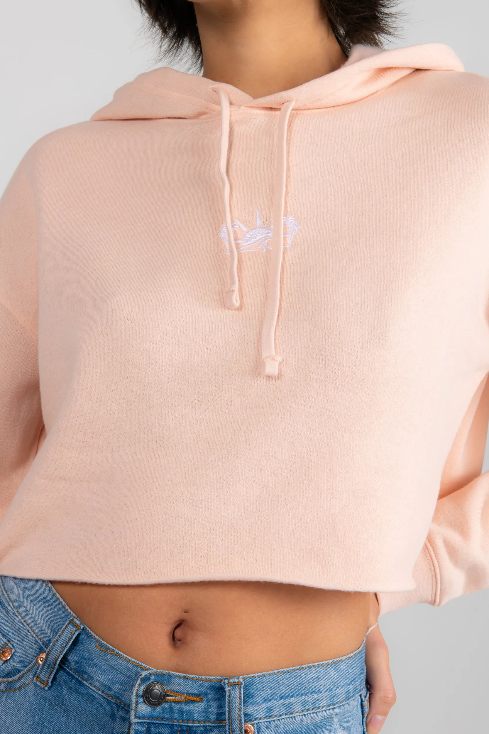 Blush Cropped Hoodie