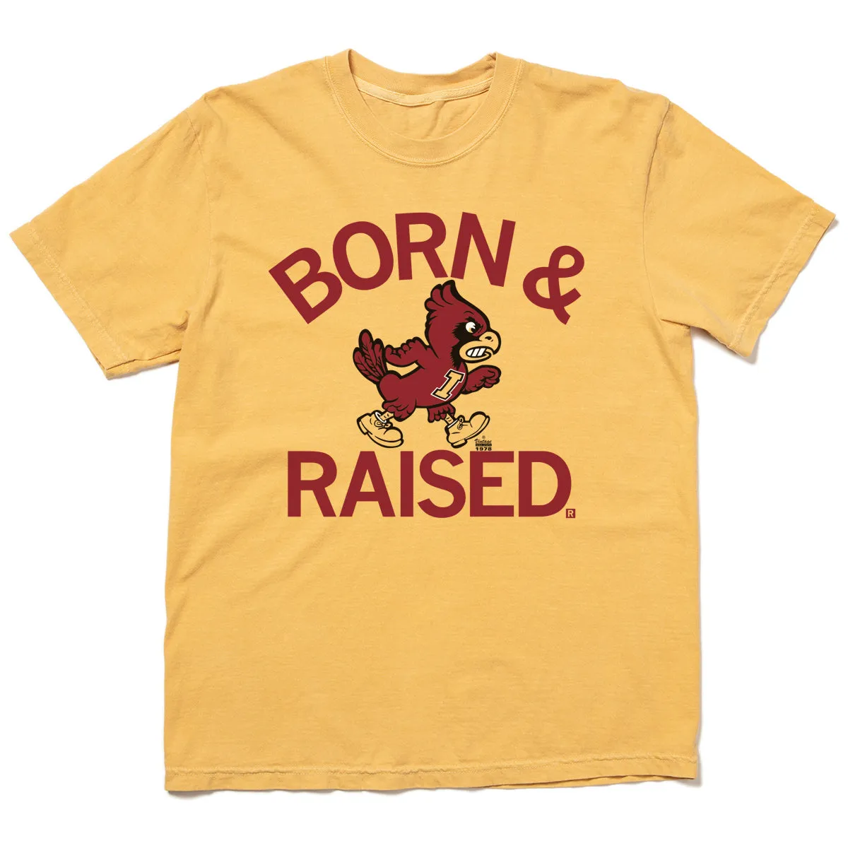 Cyclones Born & Raised Vintage Heavyweight