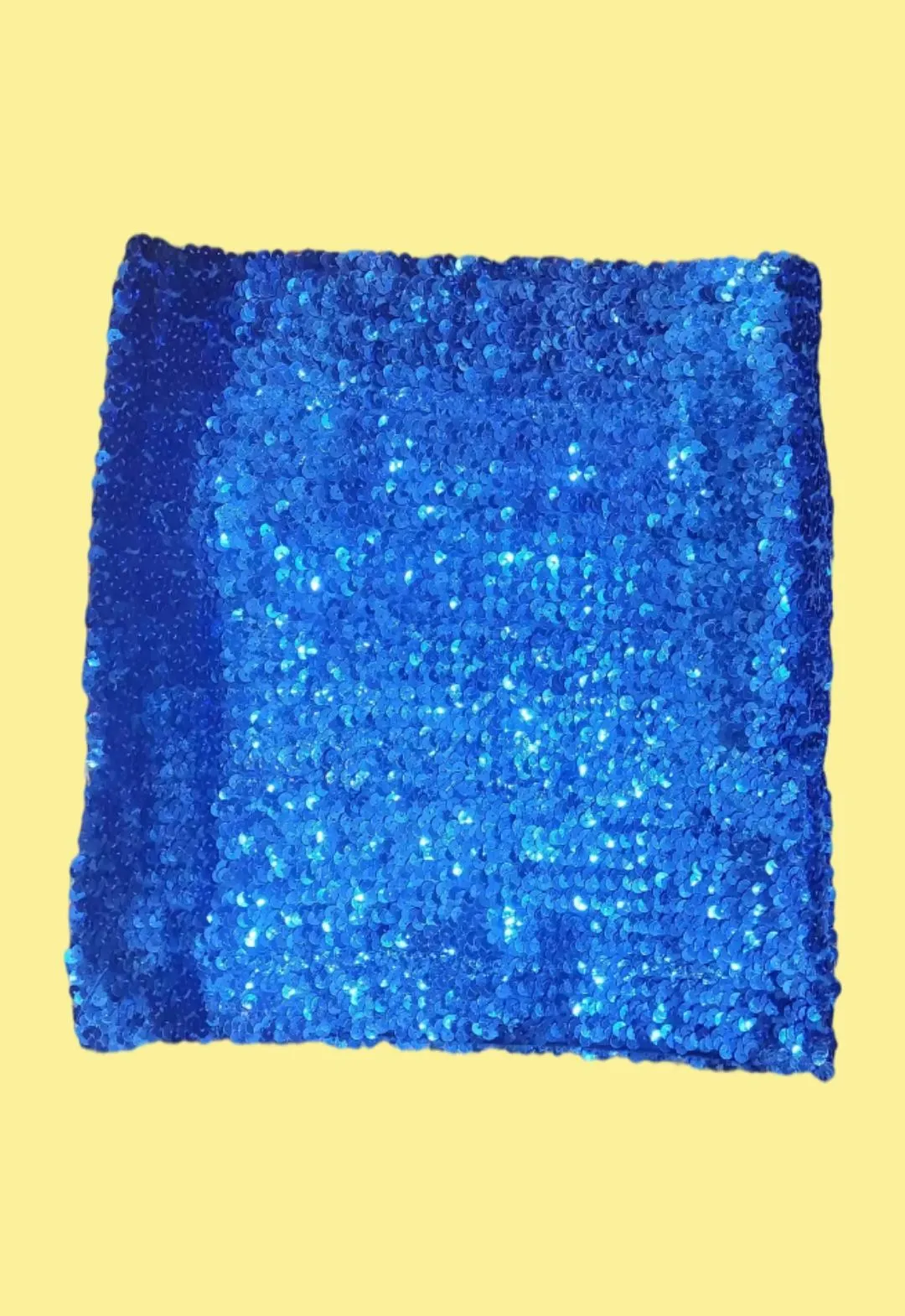Sequin Sparkle Skirt